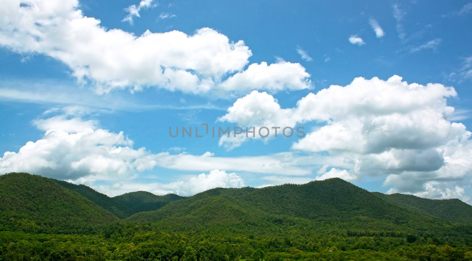 Natural forest landscape mountains sky water clouds.