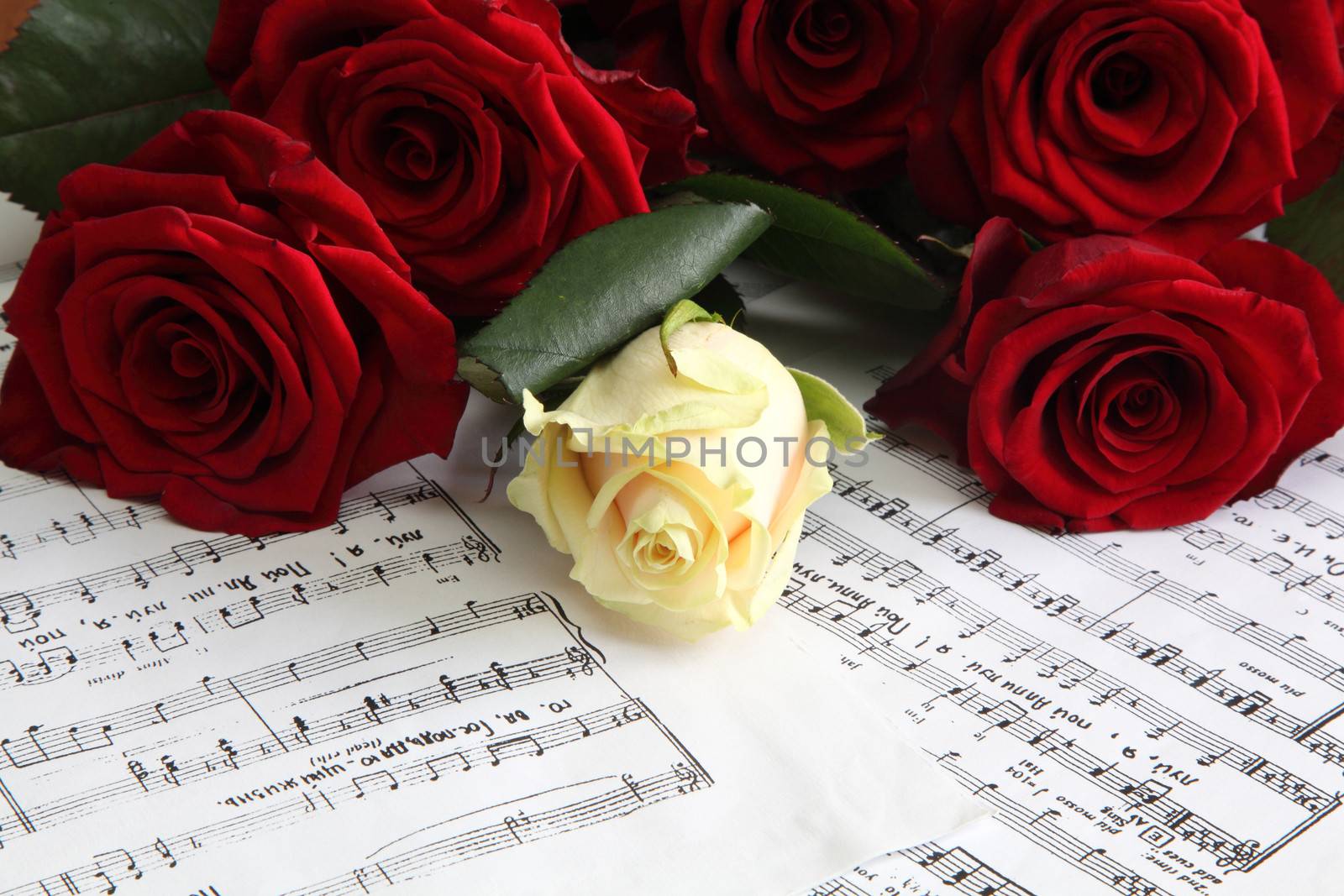 red and white roses on a sheet with notes