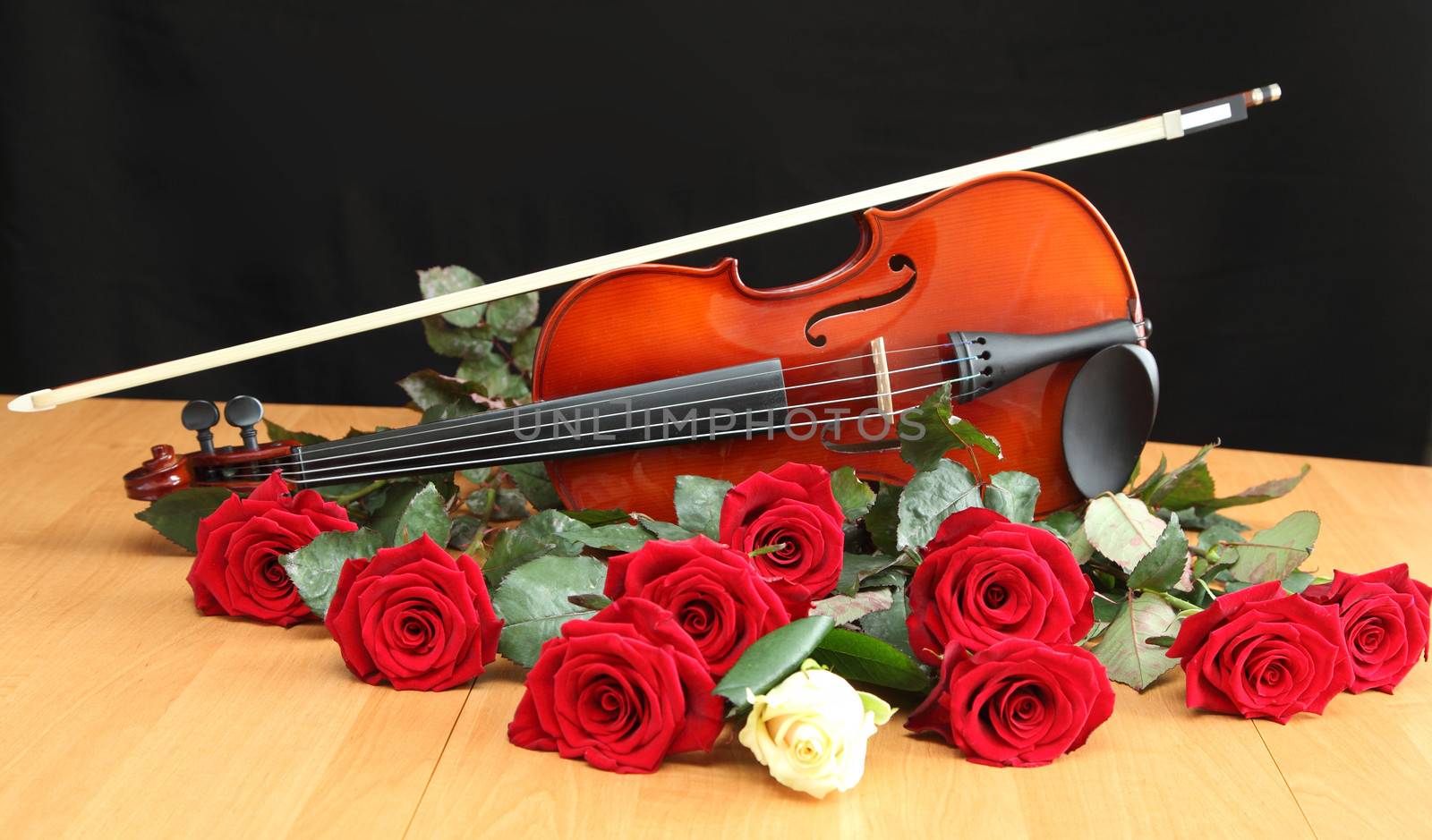 violin and roses on black background