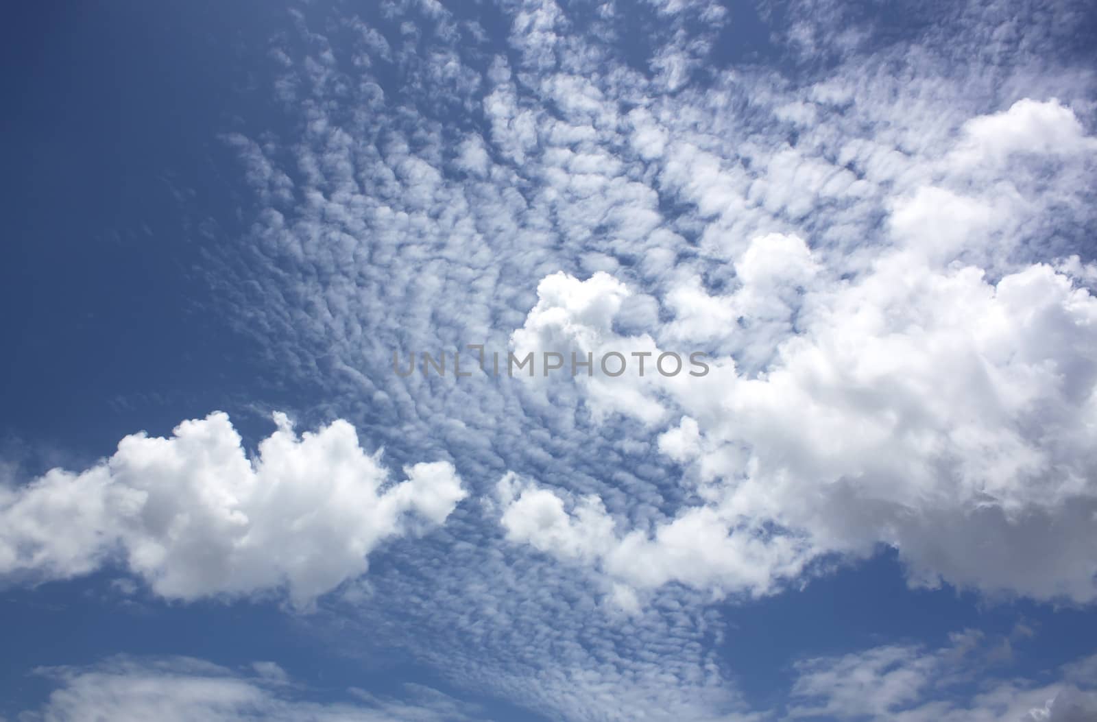 The vast blue sky and clouds sky.