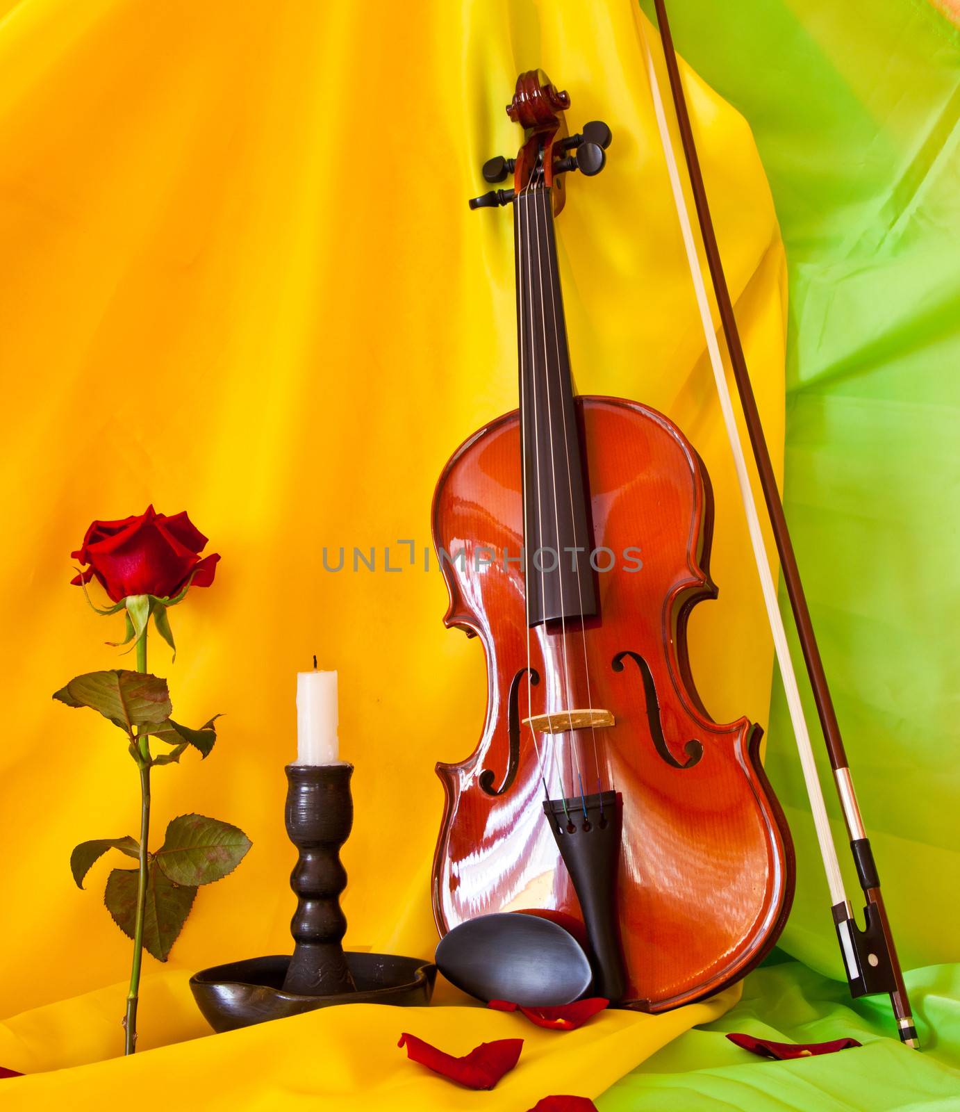 Violin by sagasan