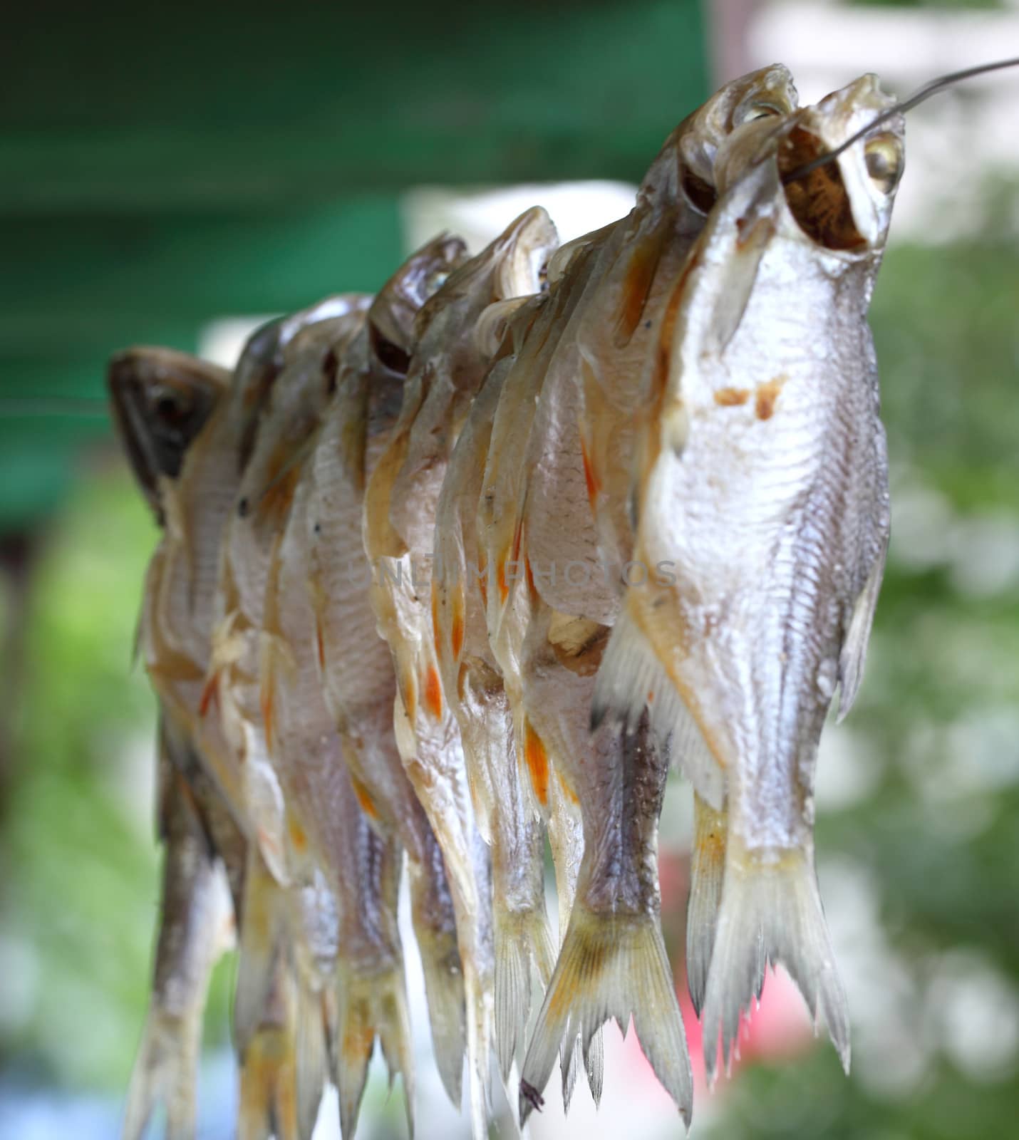 Dried fish on a rope