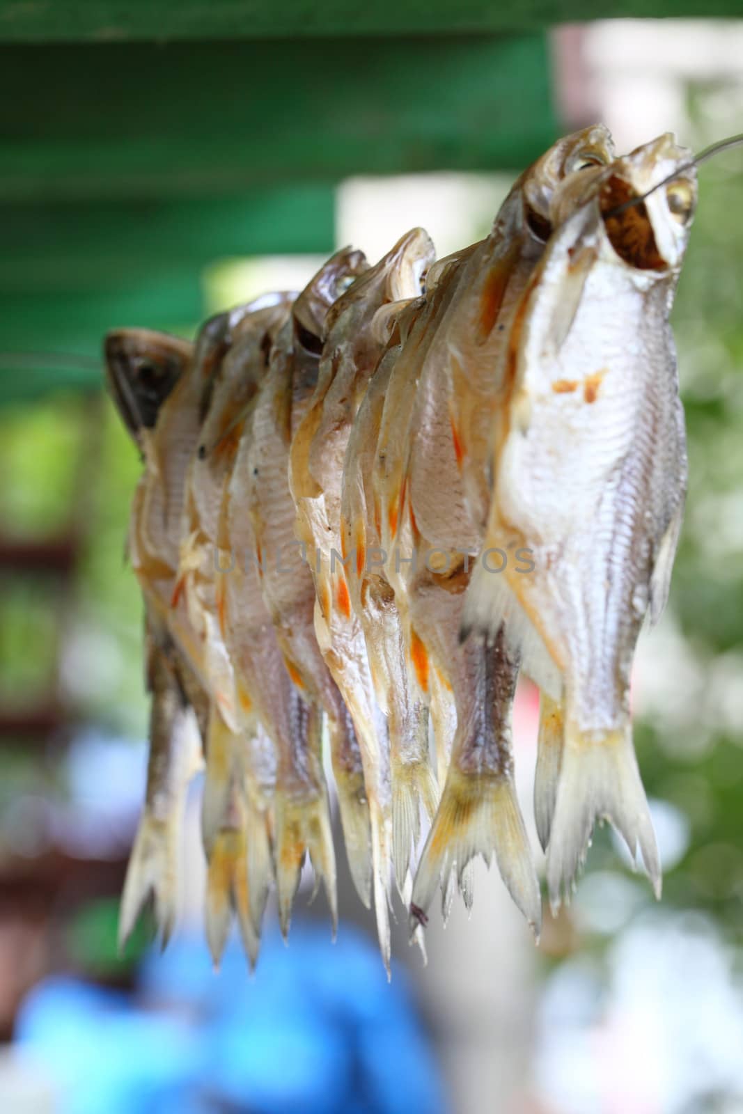 Dried fish on a rope