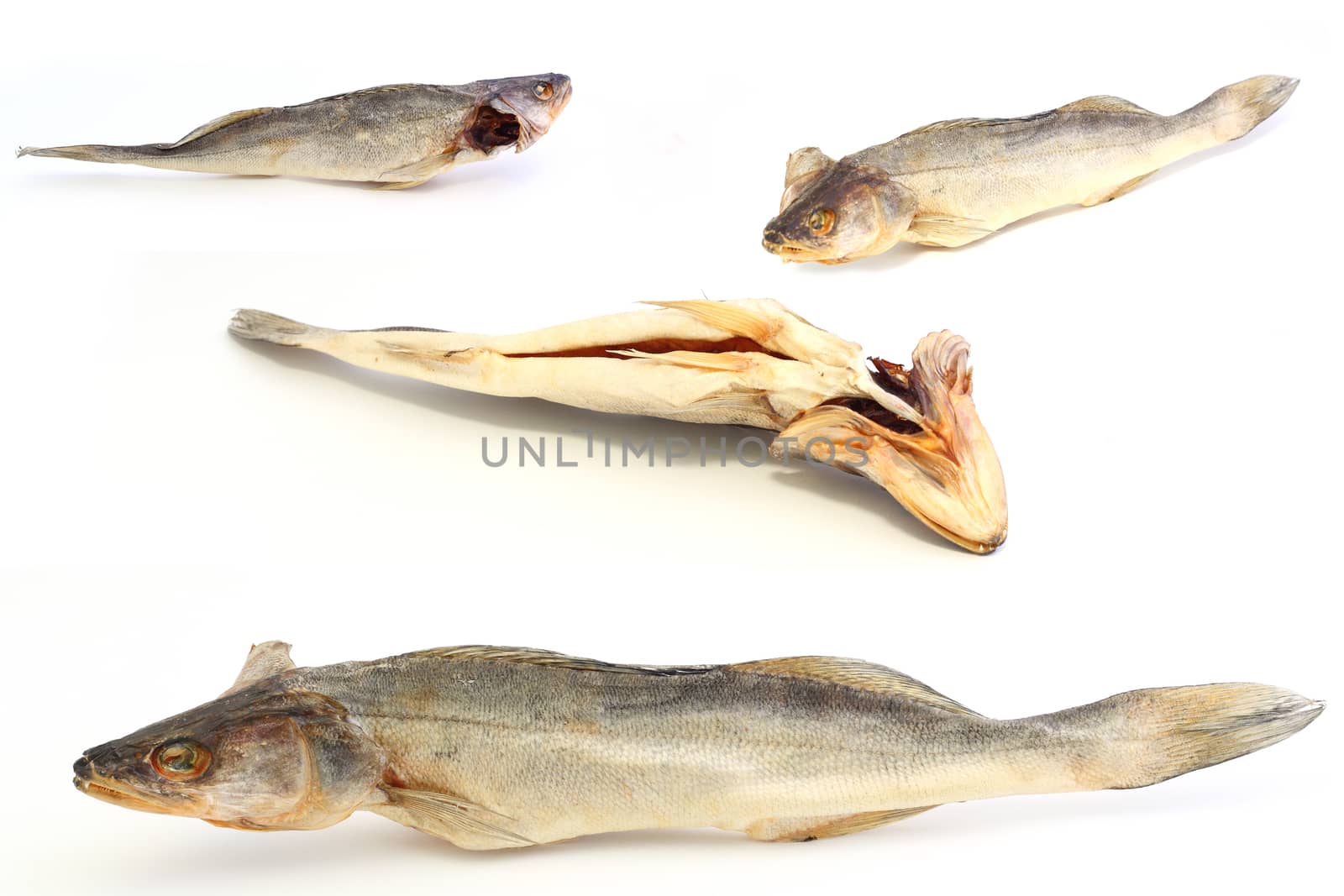 Dried fish on a white background