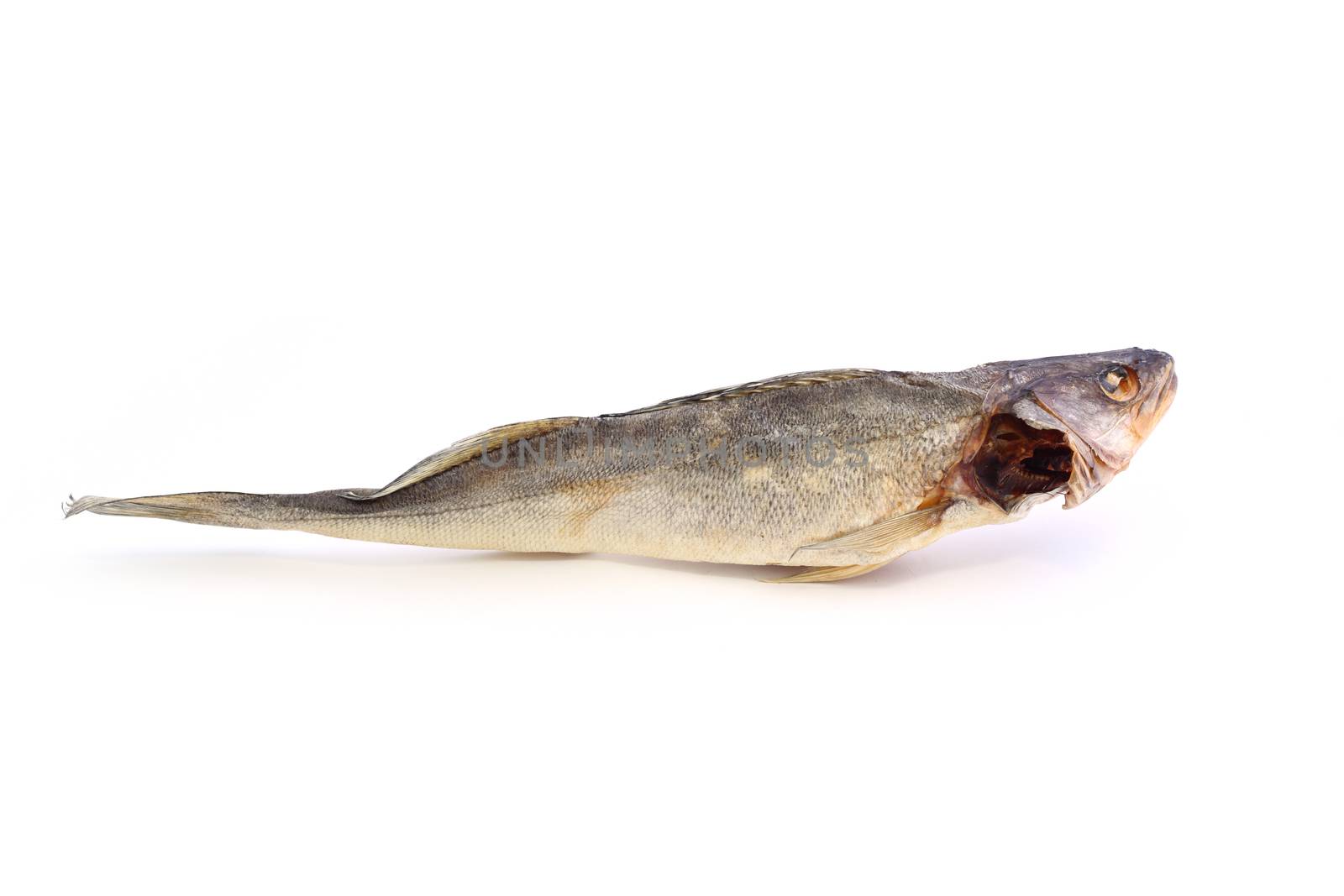  Dried fish on a white background