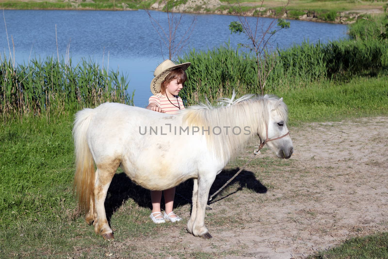 little girl and white pony horse  by goce