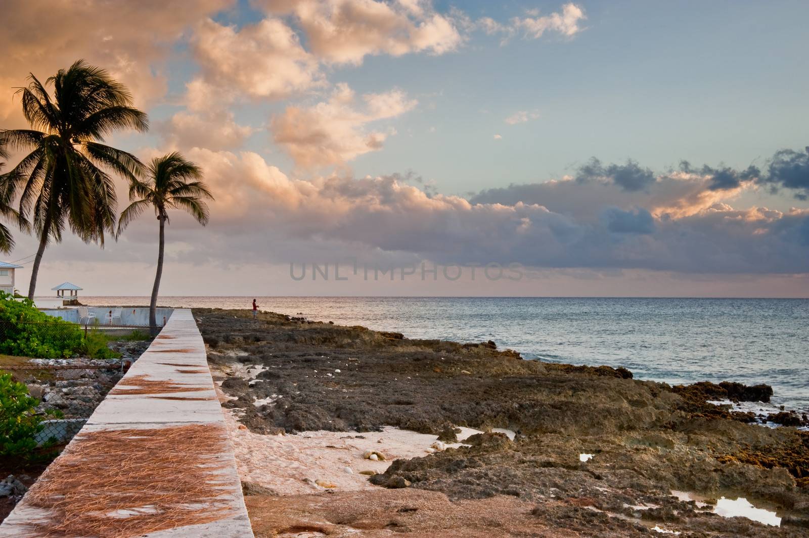 Coastline on Grand Cayman Island