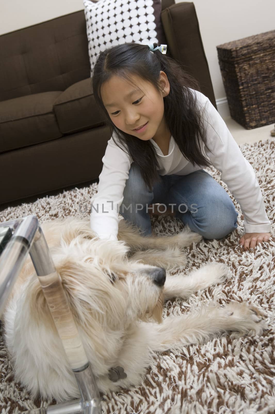 Teenage girl playing with her pet dog at home by moodboard