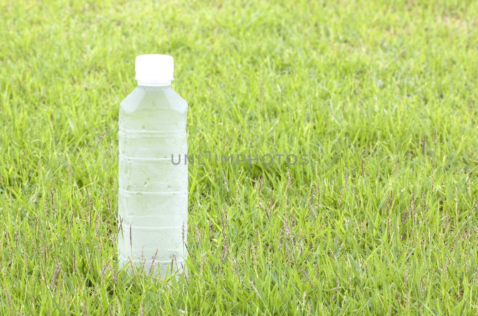 Plastic water bottles cool, thirst-quenching. Background of grass