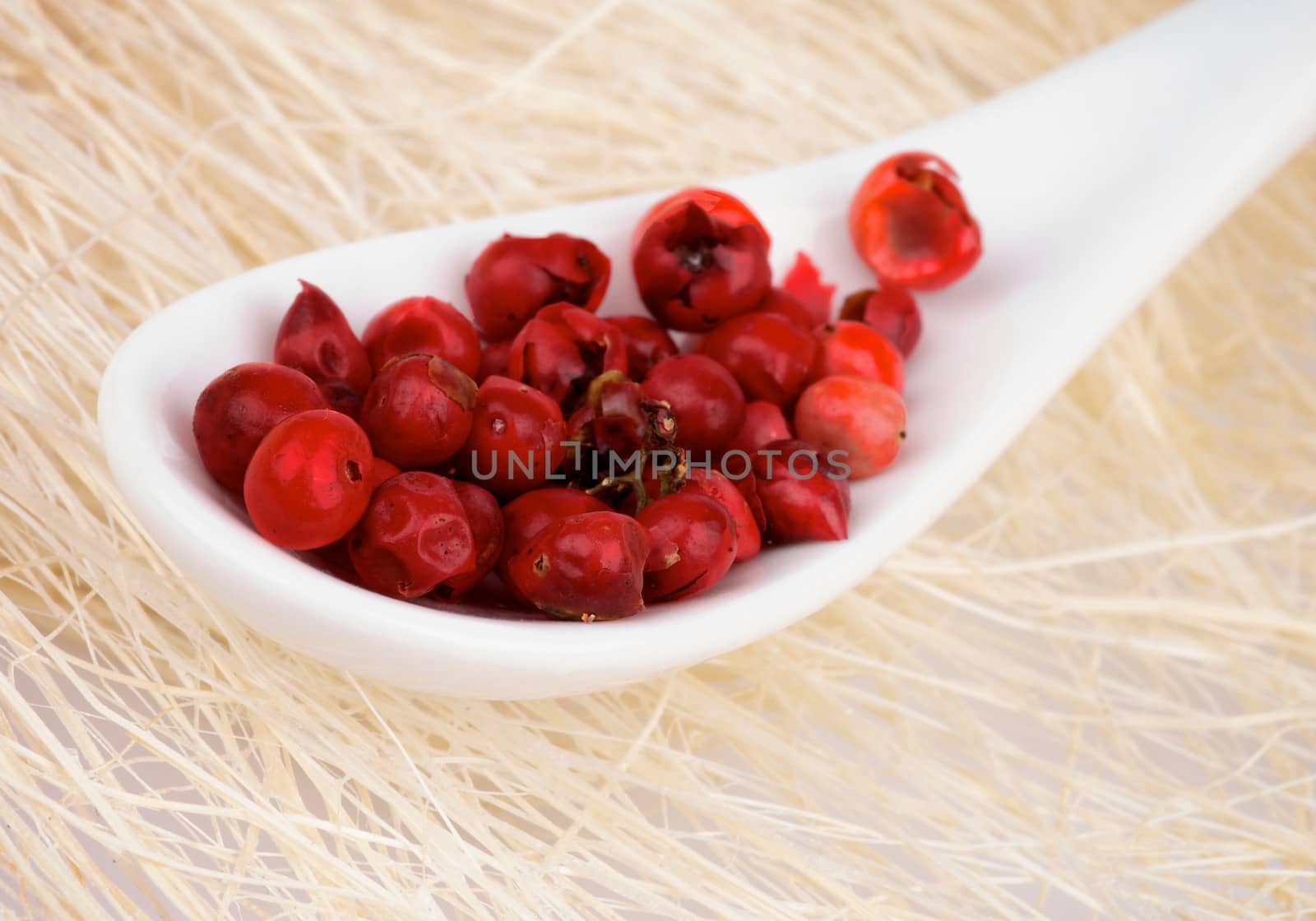 Red Peppercorn in White Spoon closeup on Bast background