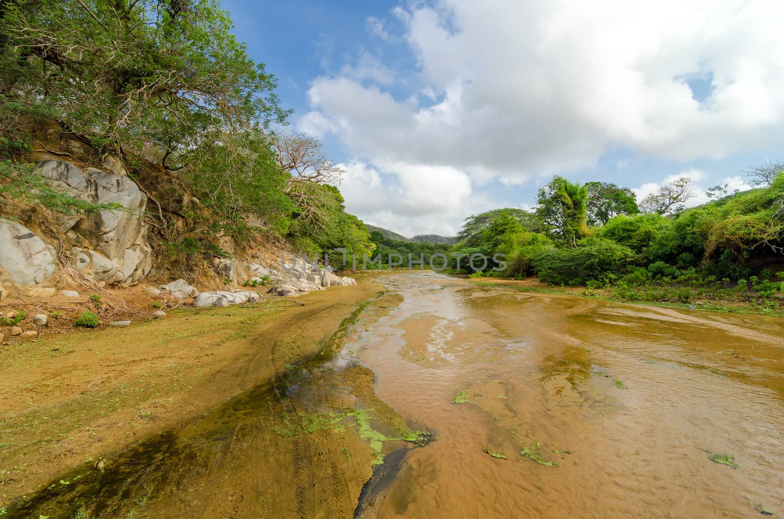 Shallow almost dry river bed in Macuira National Park in La Guajira, Colombia