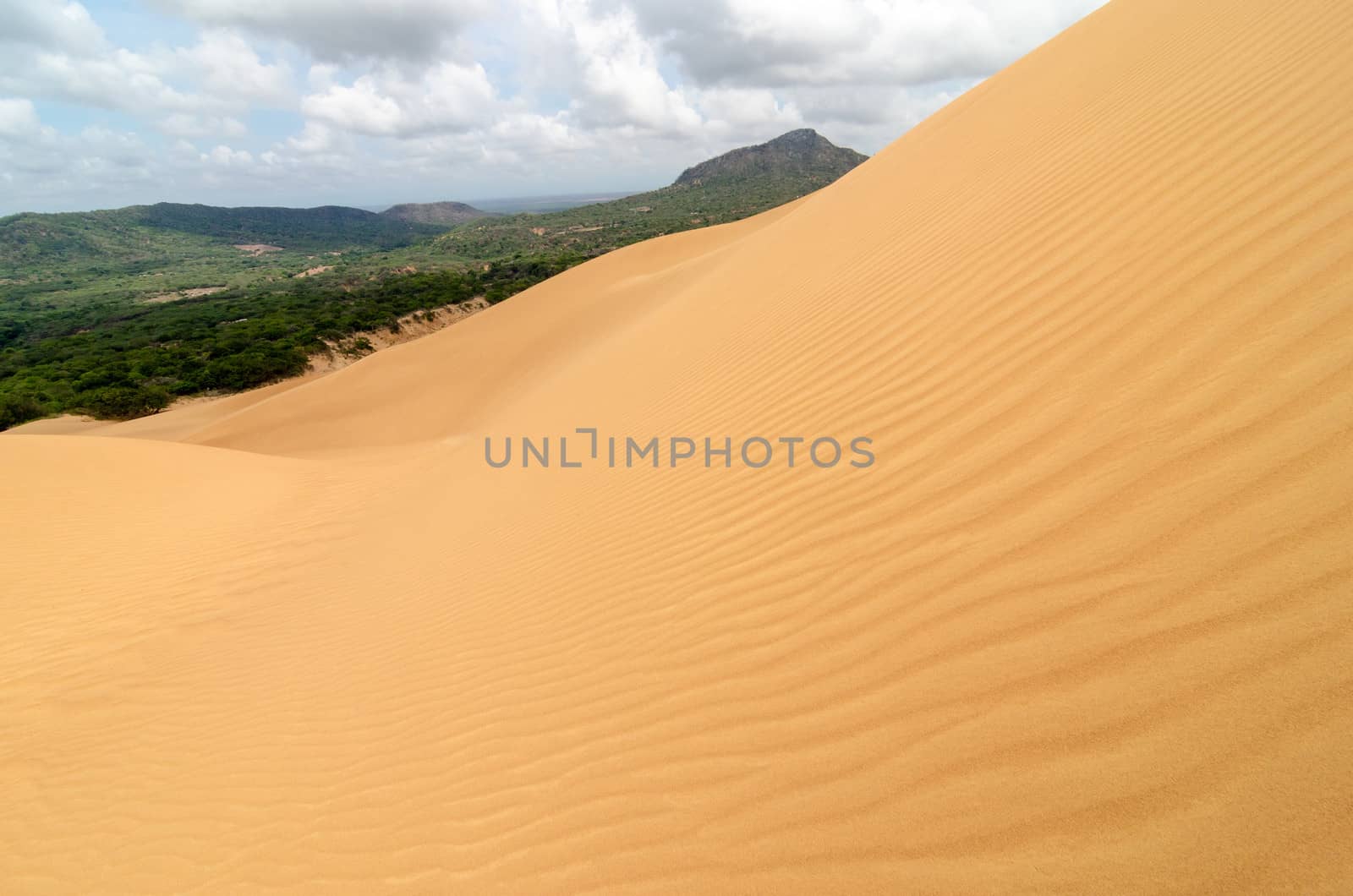 Sand Dune Ripples by jkraft5