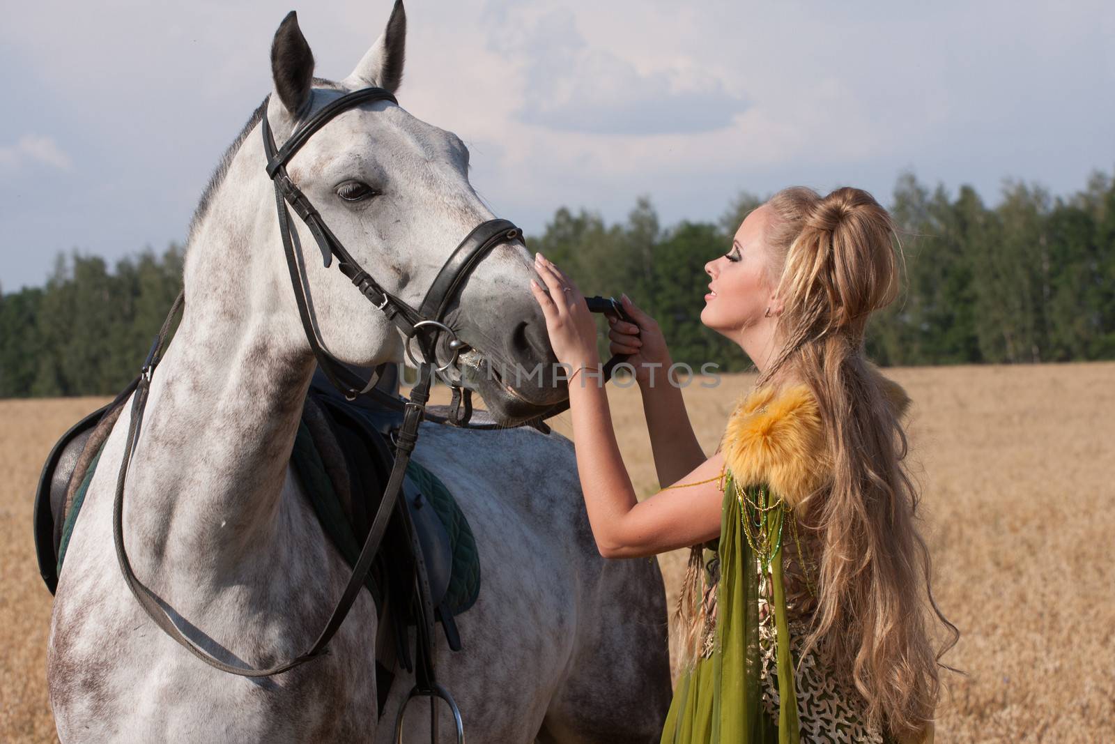 Horse and butiful woman face to face by gsdonlin