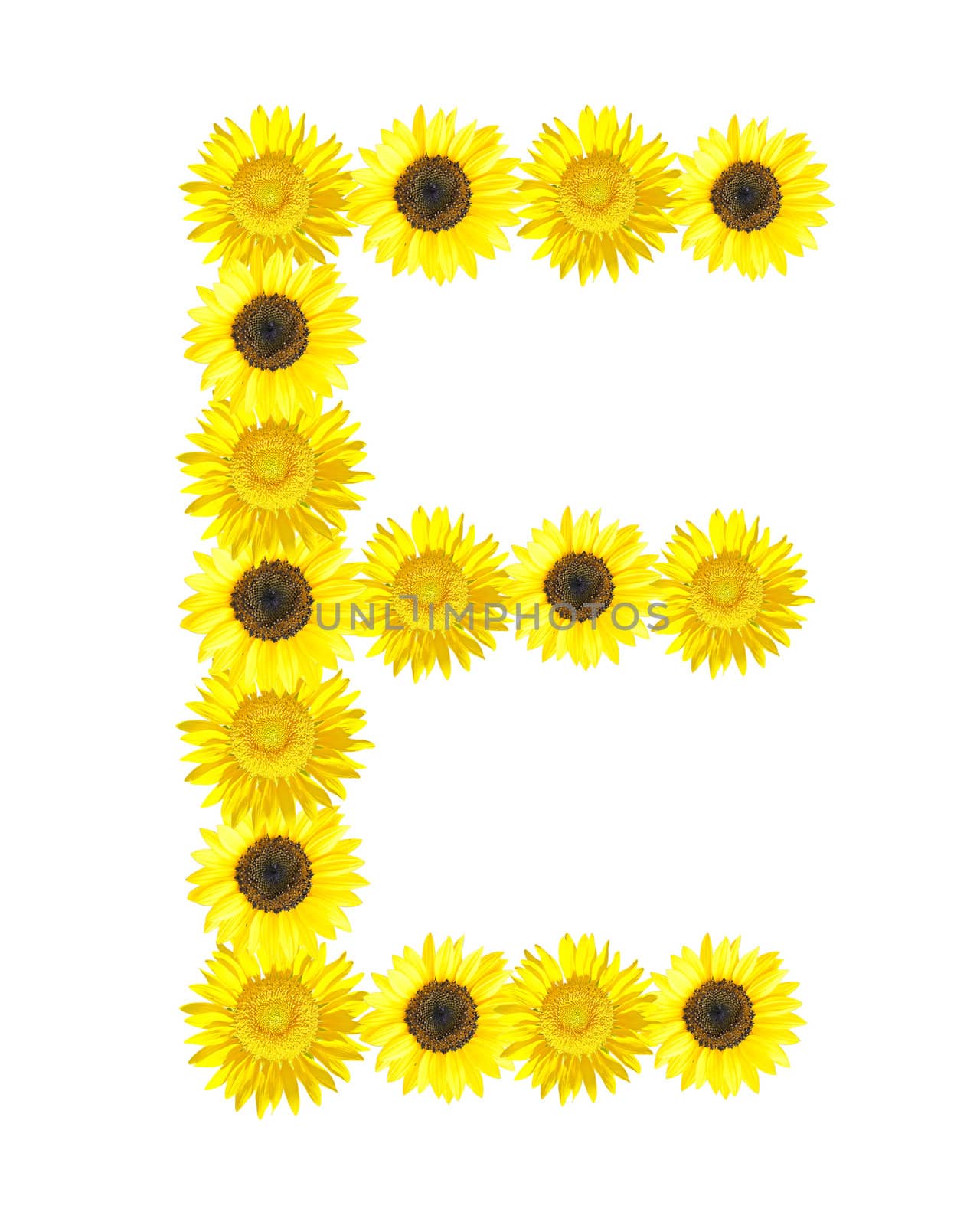 Sunflower alphabet  by janniwet