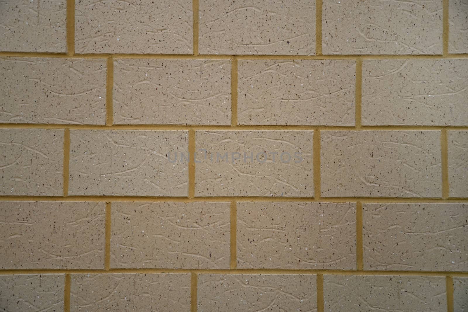 A close shot of a brick wall