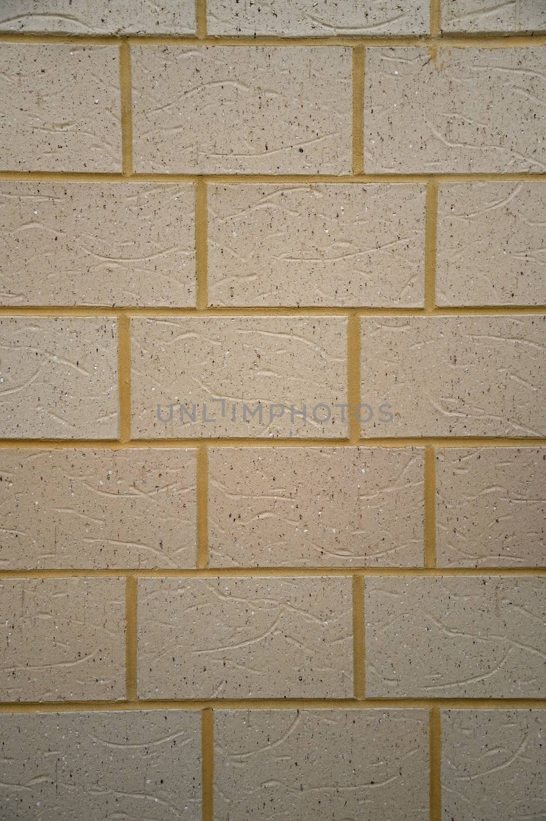 Brick Wall by Kitch