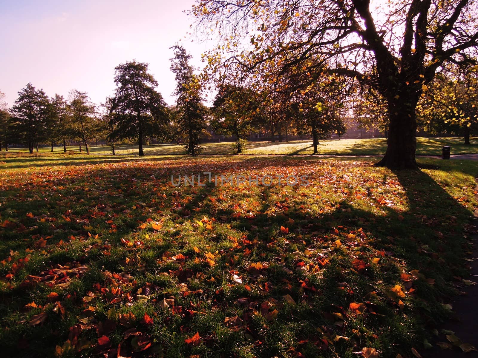 Autumn color. by paulst