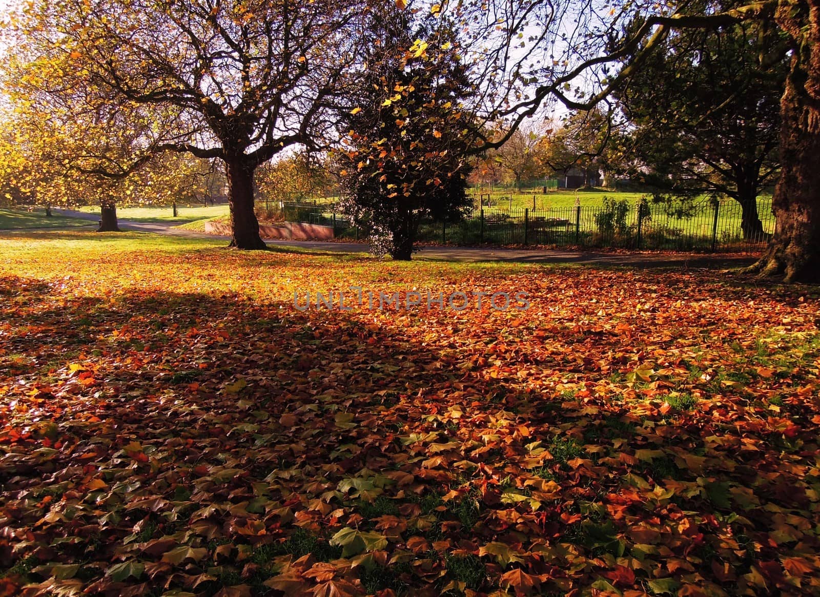 A colorful Autumn landscape.