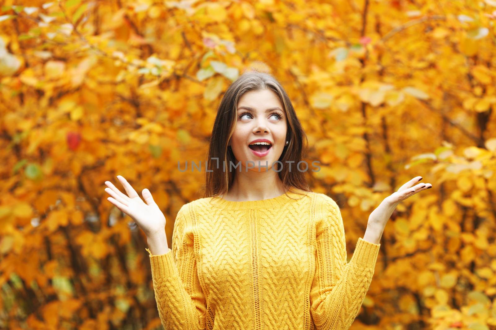 Portrait of a beautiful young woman over autumn tree background