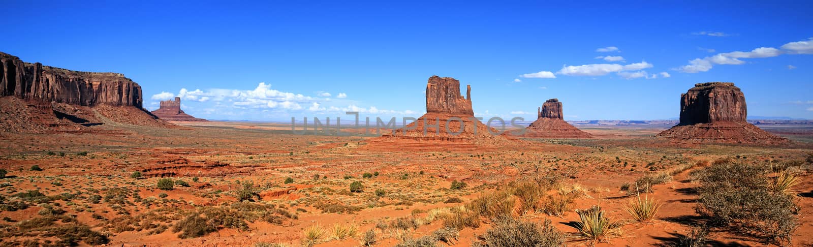 panomaric view of Monument Valley by vwalakte