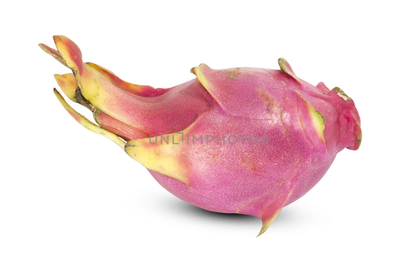 Dragon fruit - famous asian fruit by janniwet