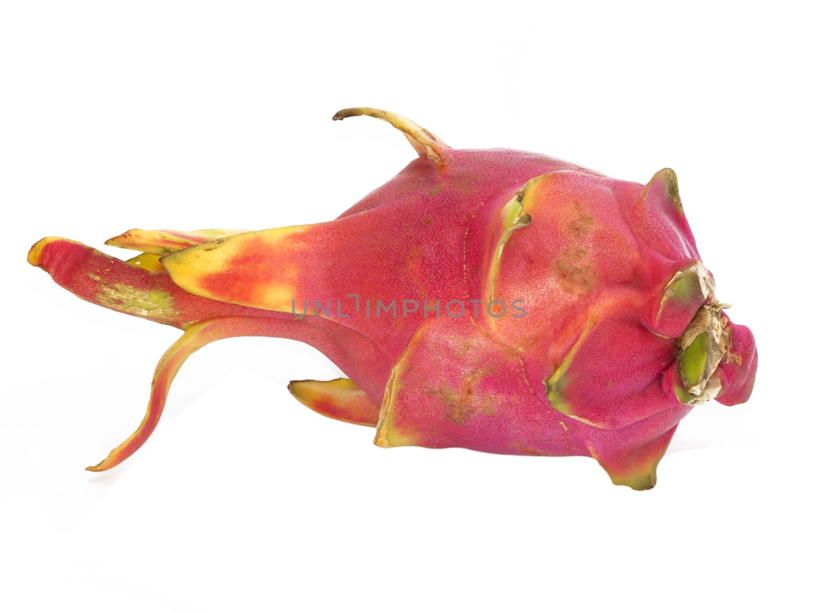 Dragon fruit - famous asian fruit isolated white background.