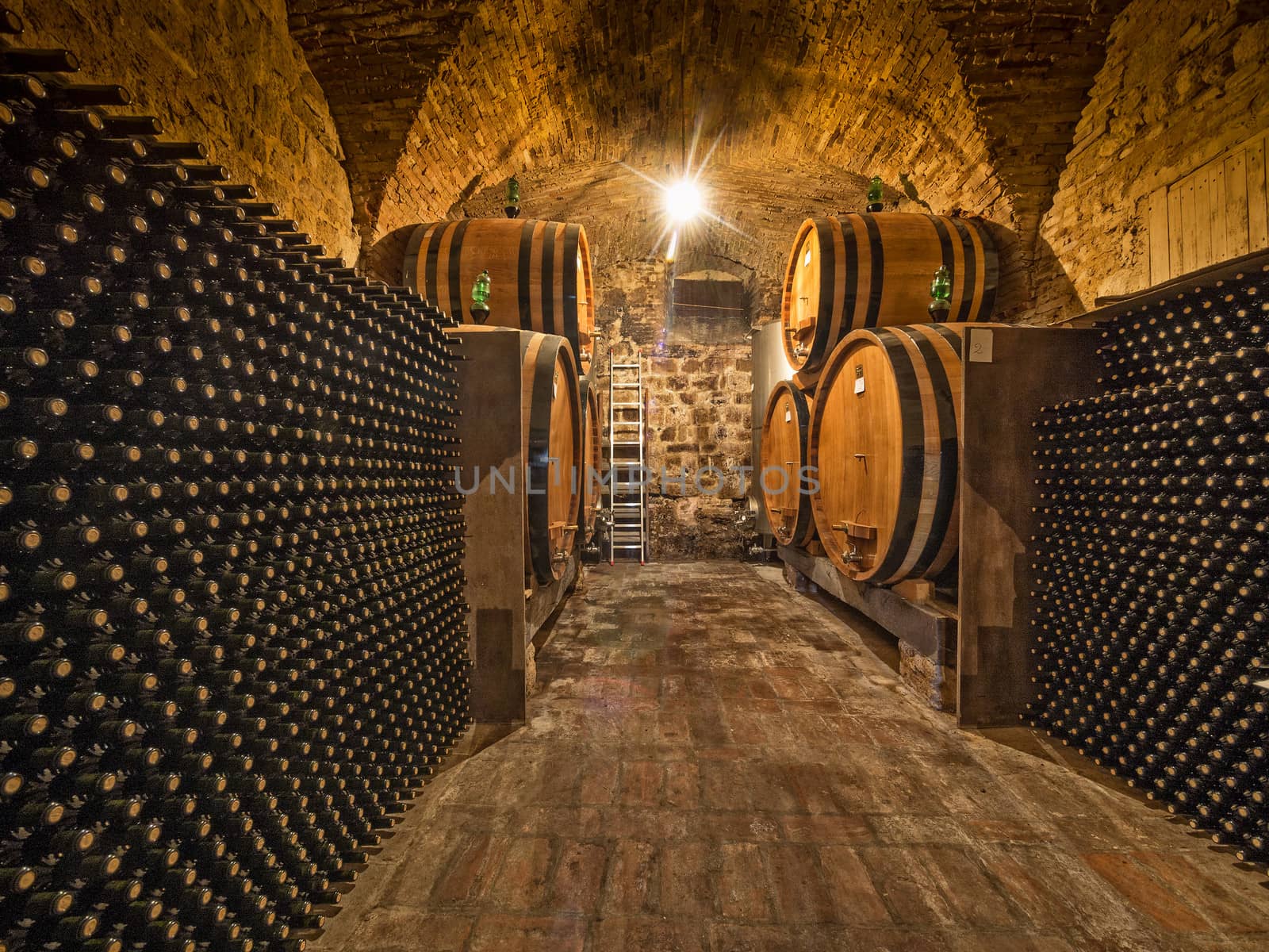 wine bottles and oak barrels in winery cellar