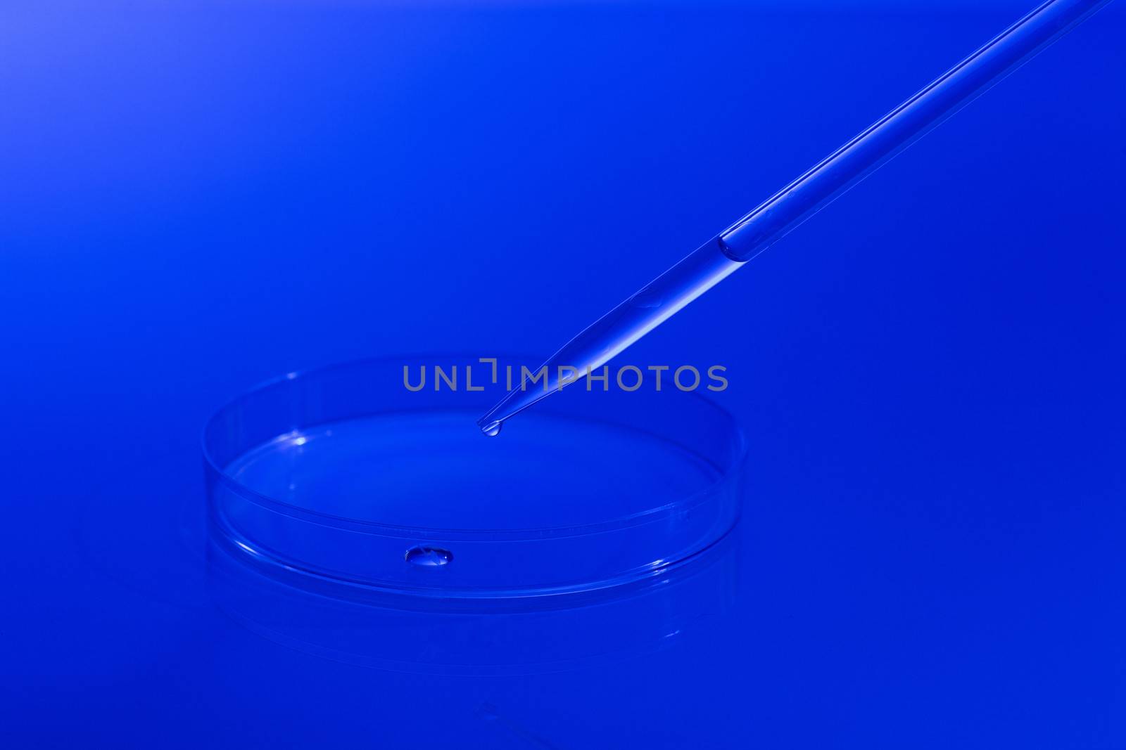 Image of droplet and glass plate. Microbiological laboratory