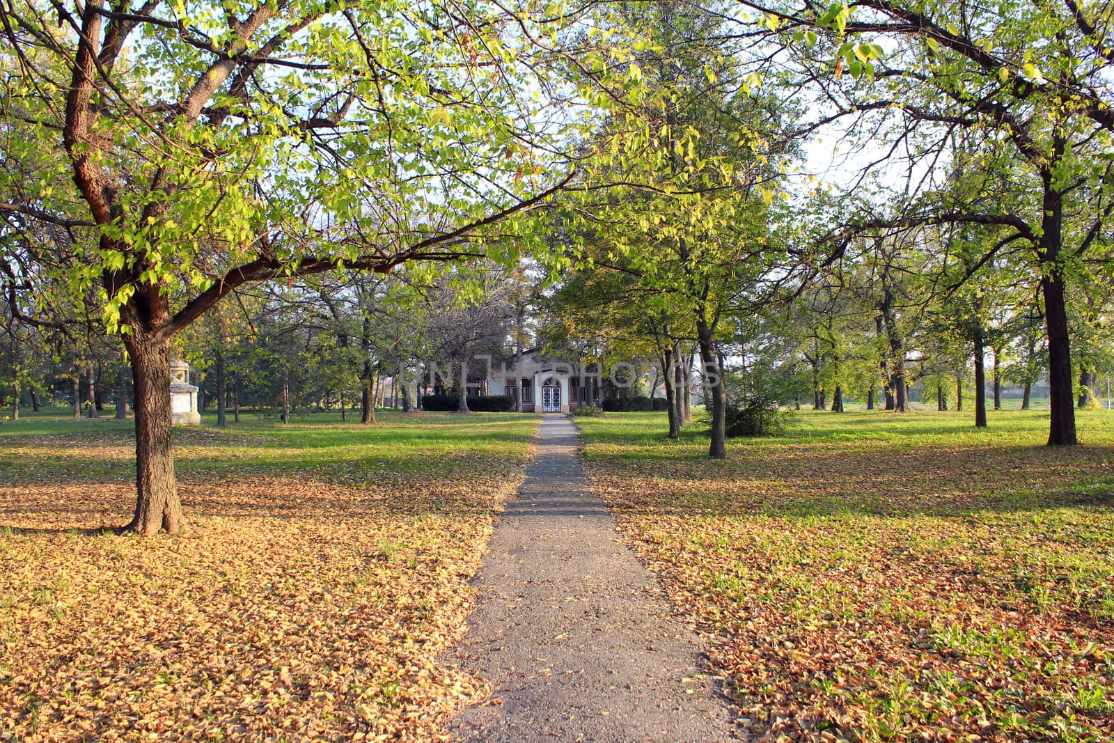autumn park with path and house