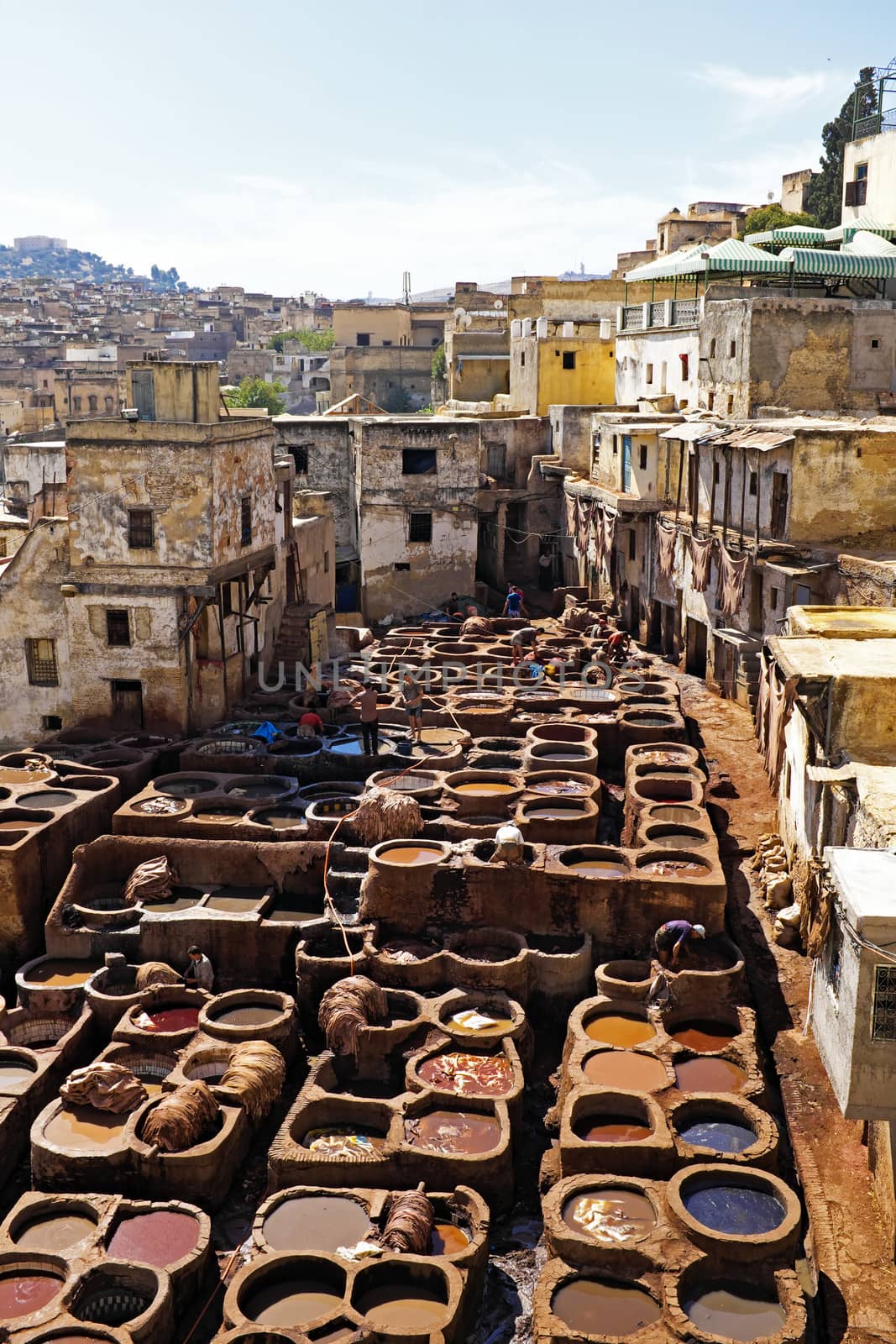 Tanners working leather in the old tannery of Fes, Morocco by devy