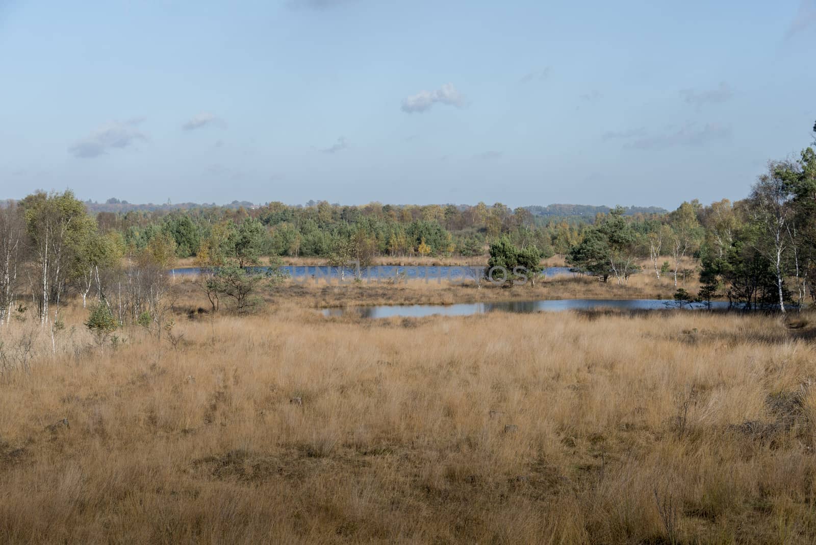 nature area gilderhauser venn by compuinfoto