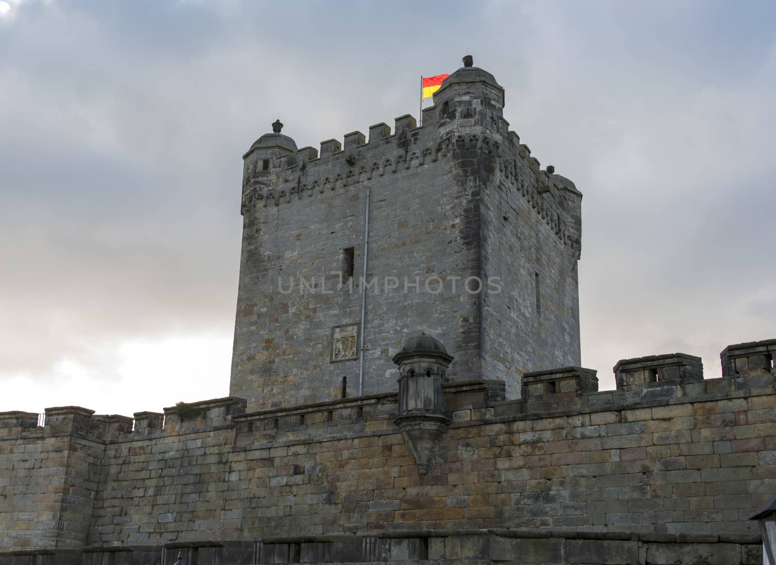 castle of bad bentheim in germany by compuinfoto