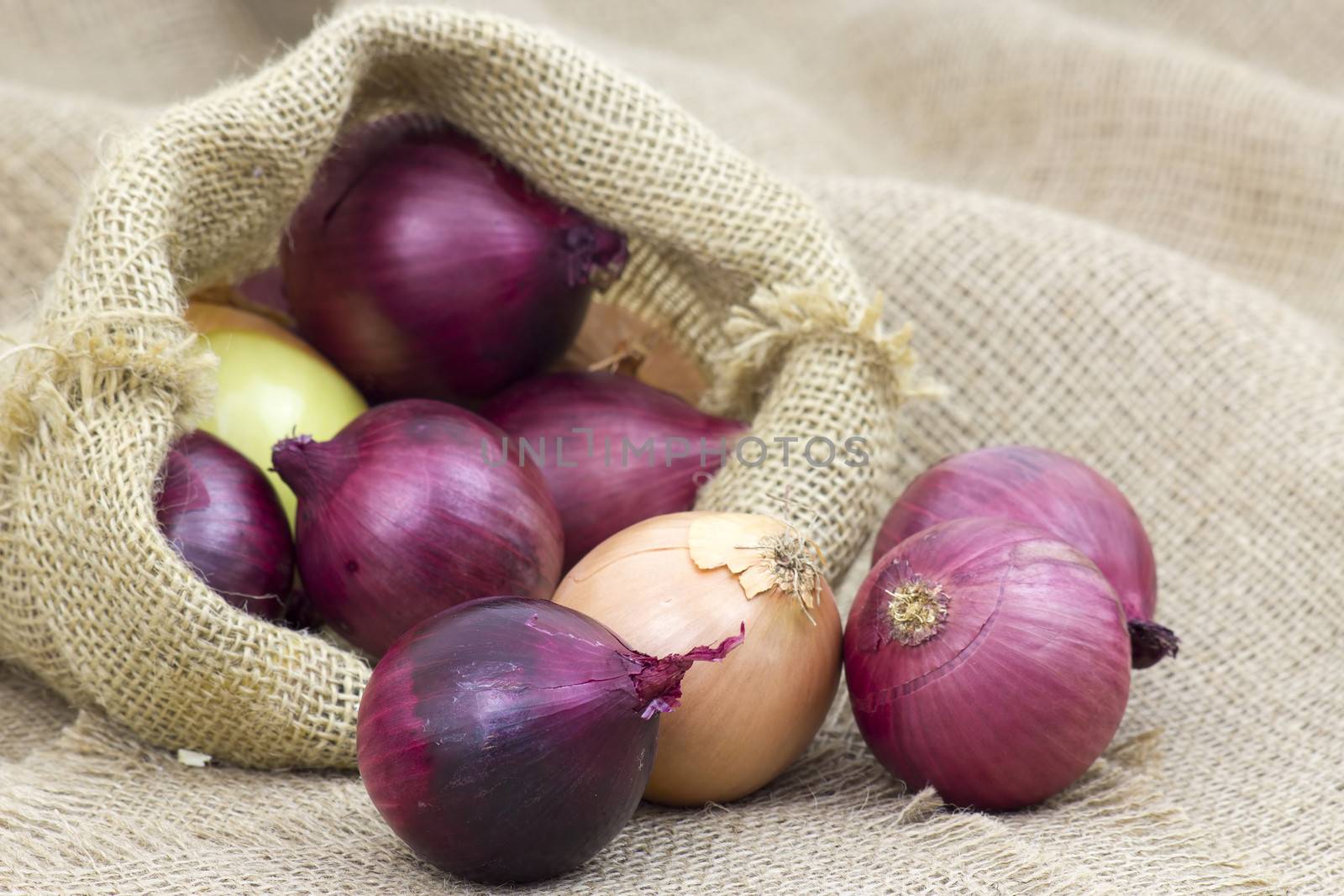 Fresh onions in package