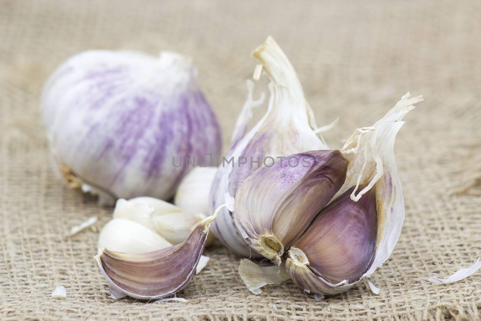 fresh garlic