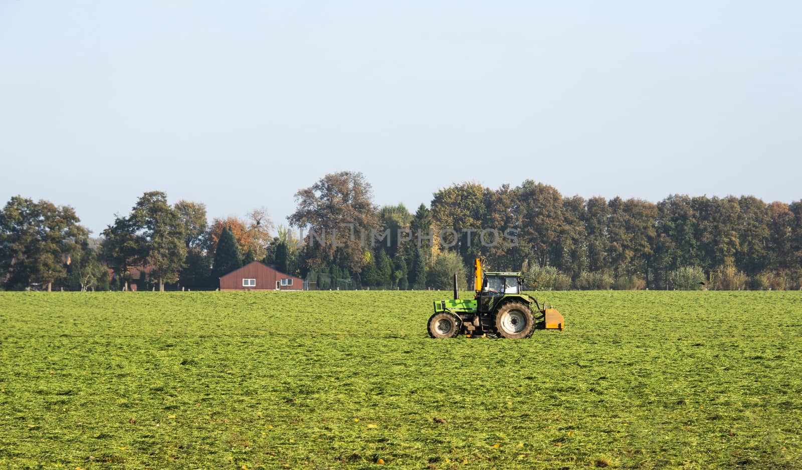farmer with tractor on the green field