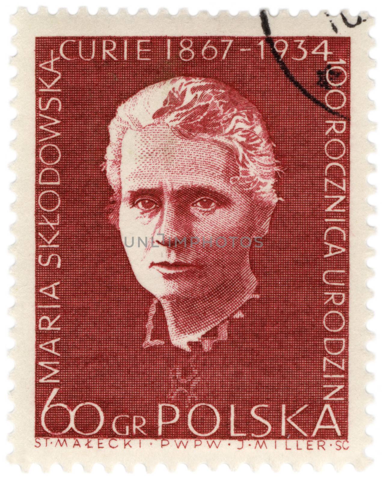Portrait of a Polish scientist Marie Curie by wander