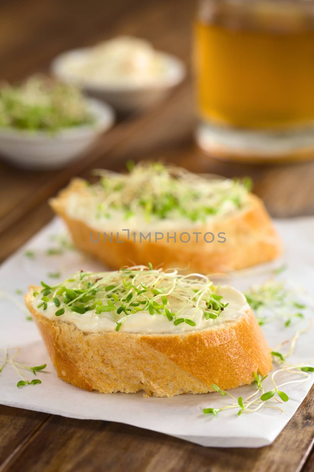 Baguette with Cream Cheese and Alfalfa Sprouts by ildi
