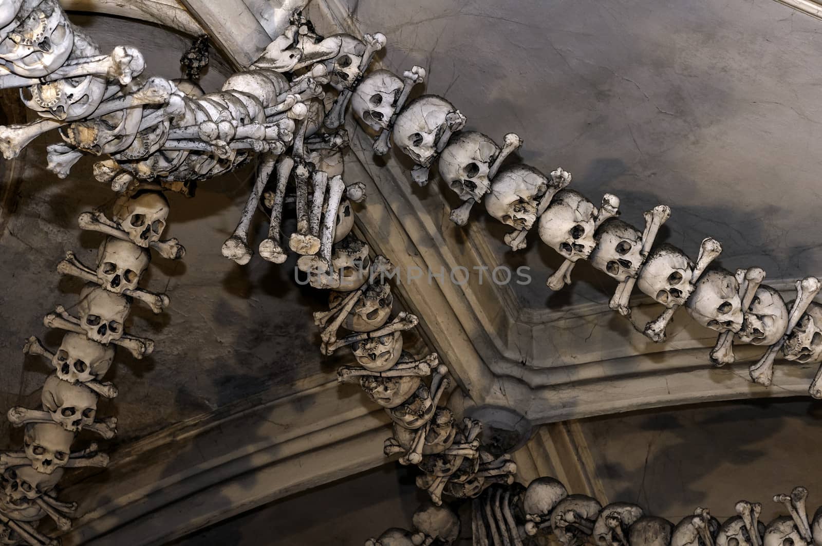 Human bones. by FER737NG