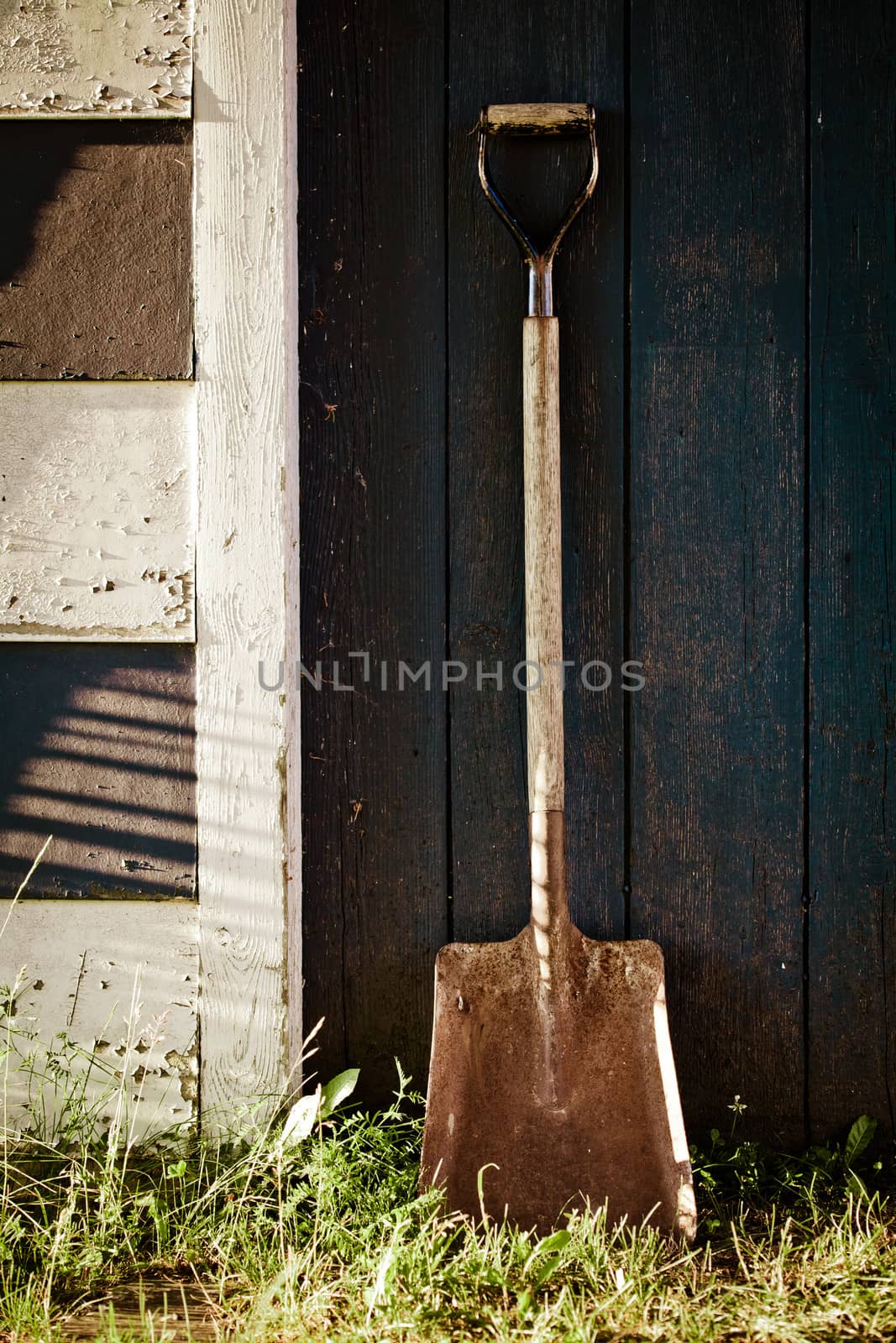 Old Vintage Metal Shovel with rust on blue barn Door. Desaturated image