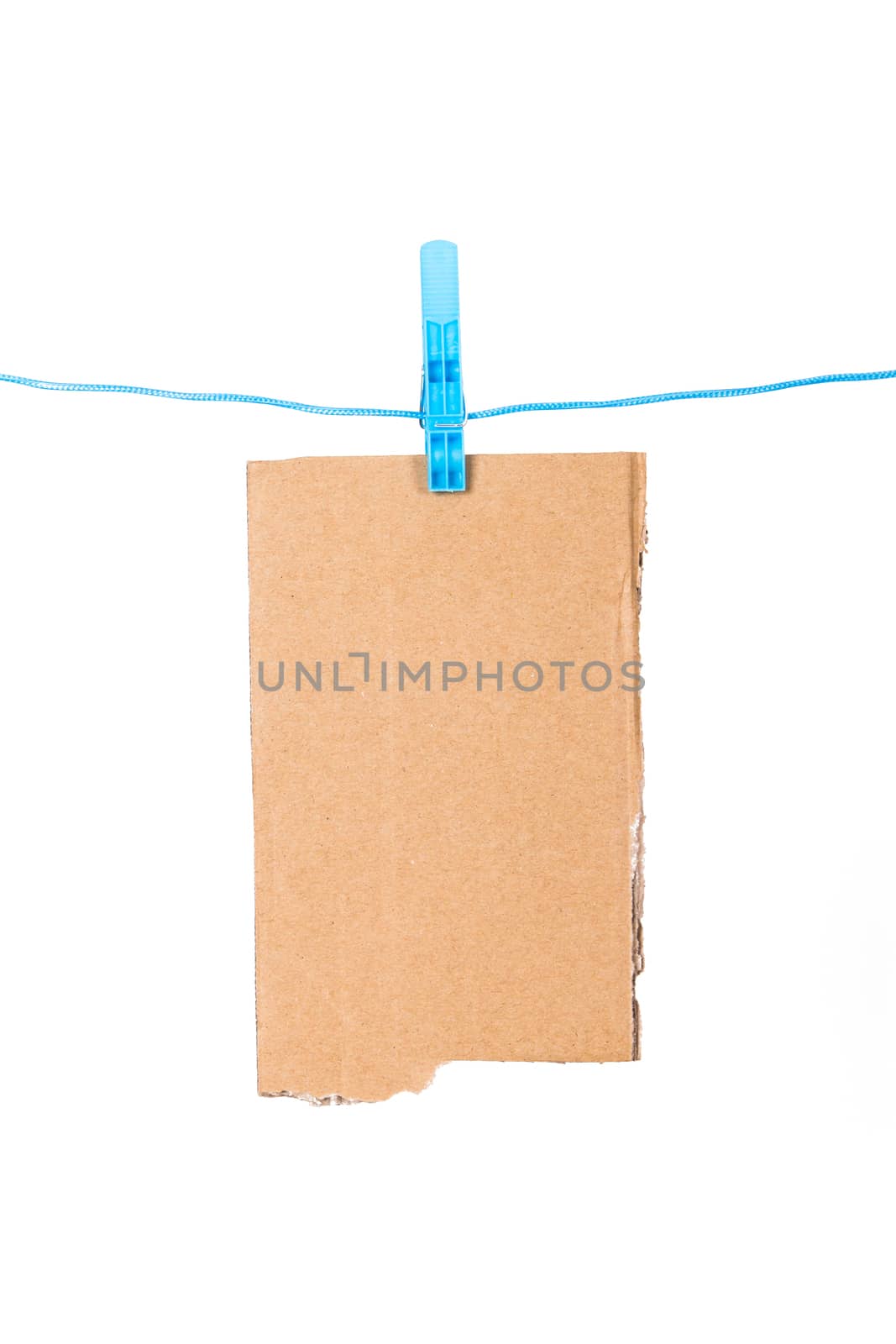 Teared, ripped cardboard with blue, plastic clothespin on nylon rope, isolated on white background.