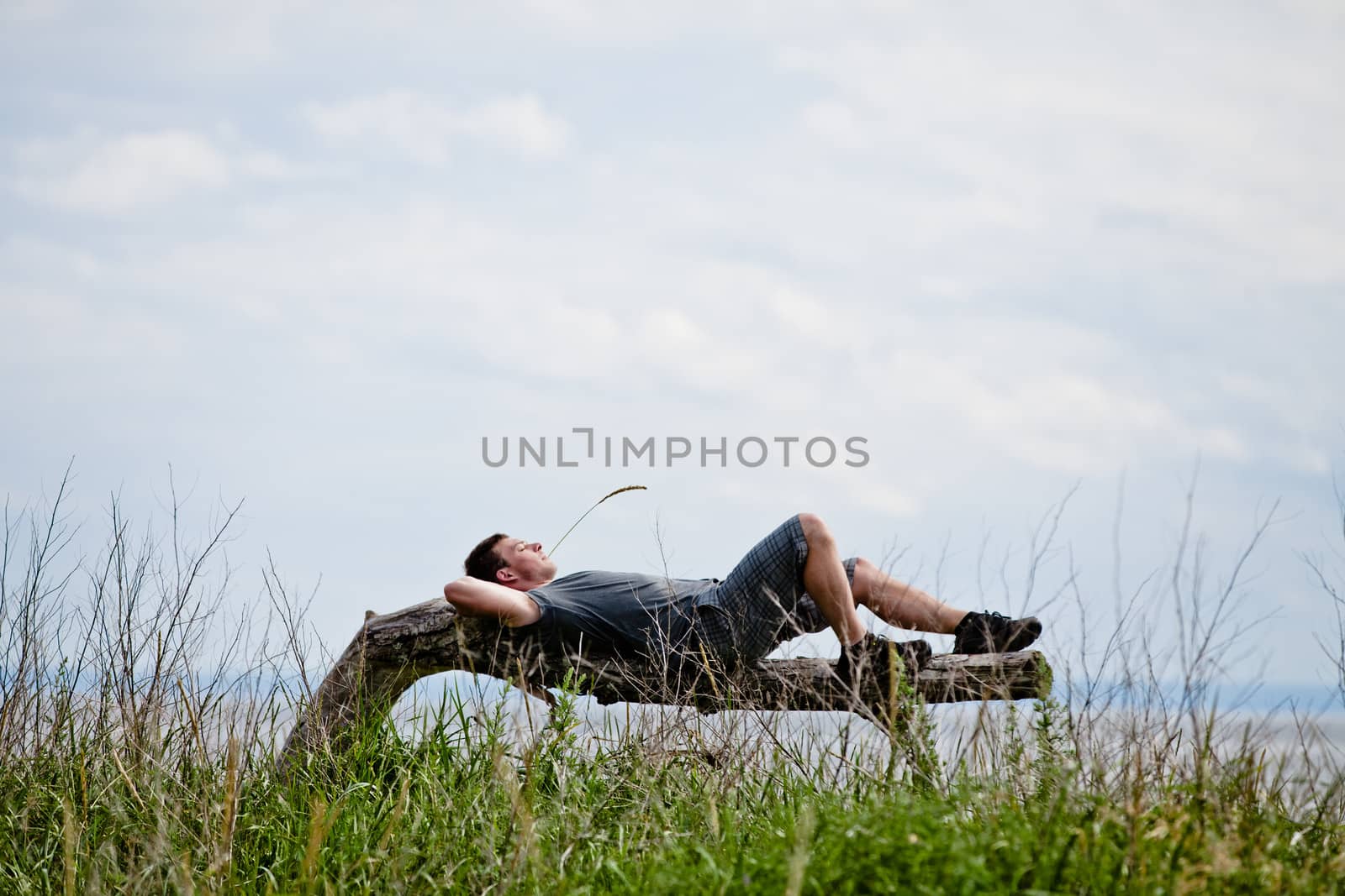 Young Adult Relaxing in Nature and Lying on a Tree Peacefully