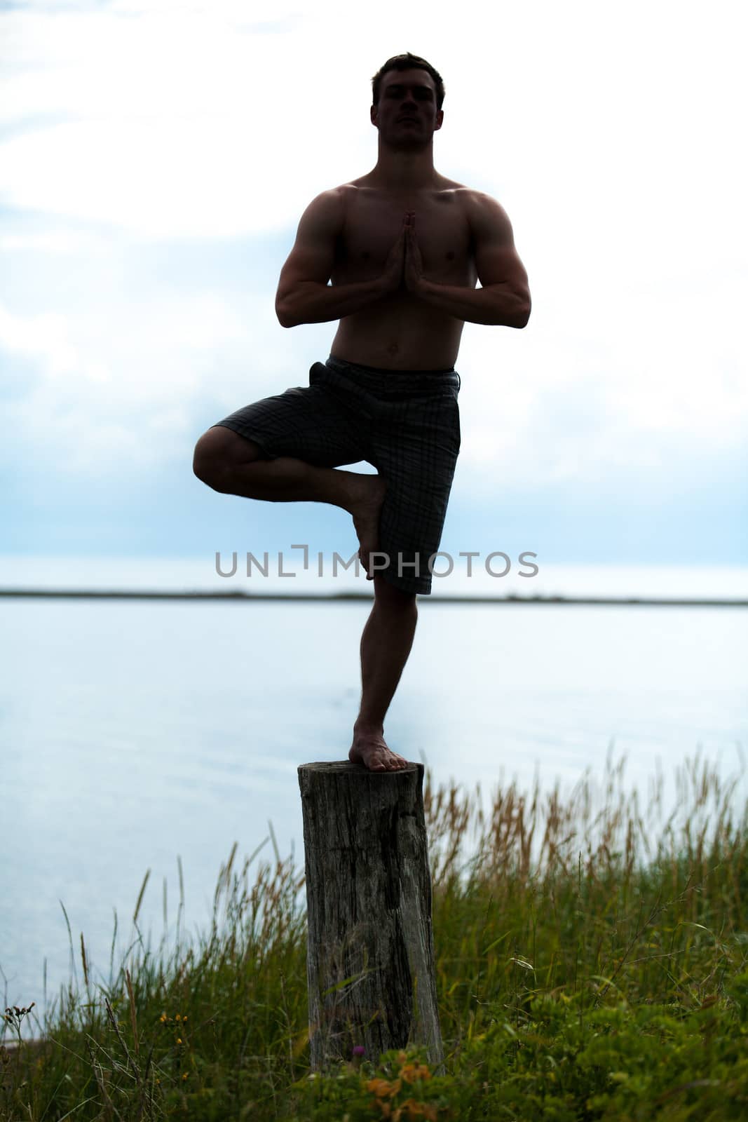 Young Adult in Silhouette Doing the Tadasana (Tree) position in Yoga on a Stump in Nature