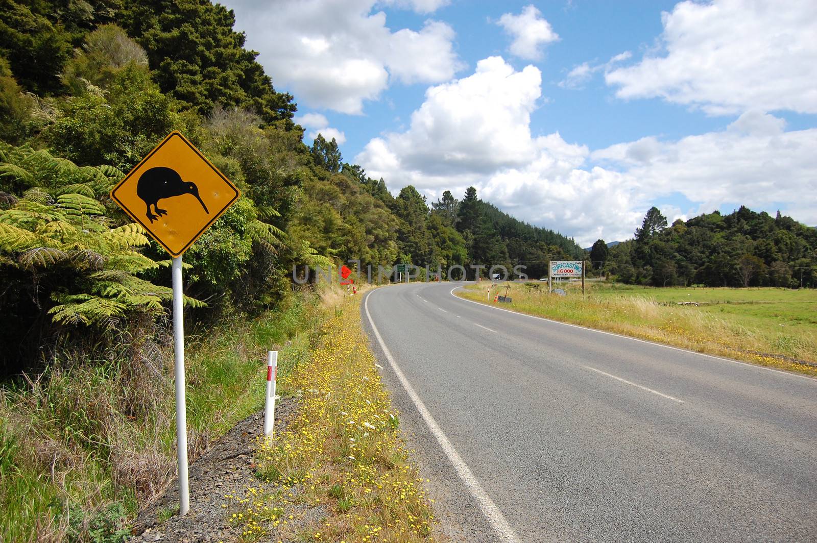 Yellow kiwi bird road sign at roadside, New Zealand