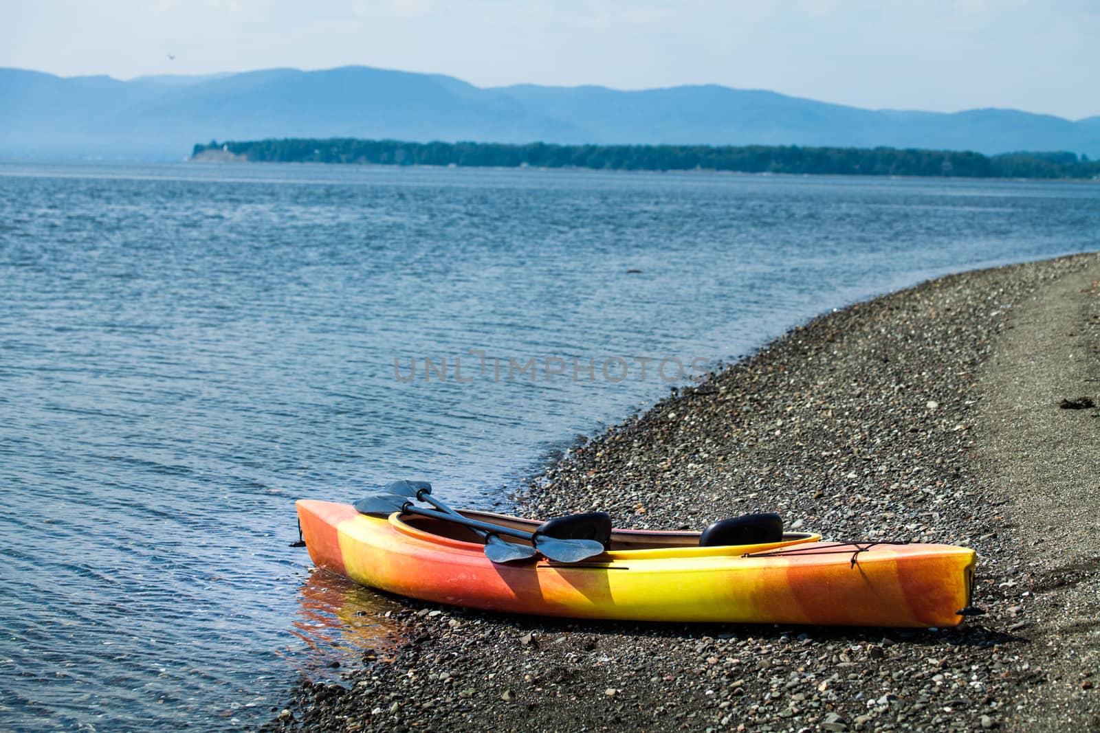 Orange and Yellow Kayak With Oars on the Sea Shore by aetb