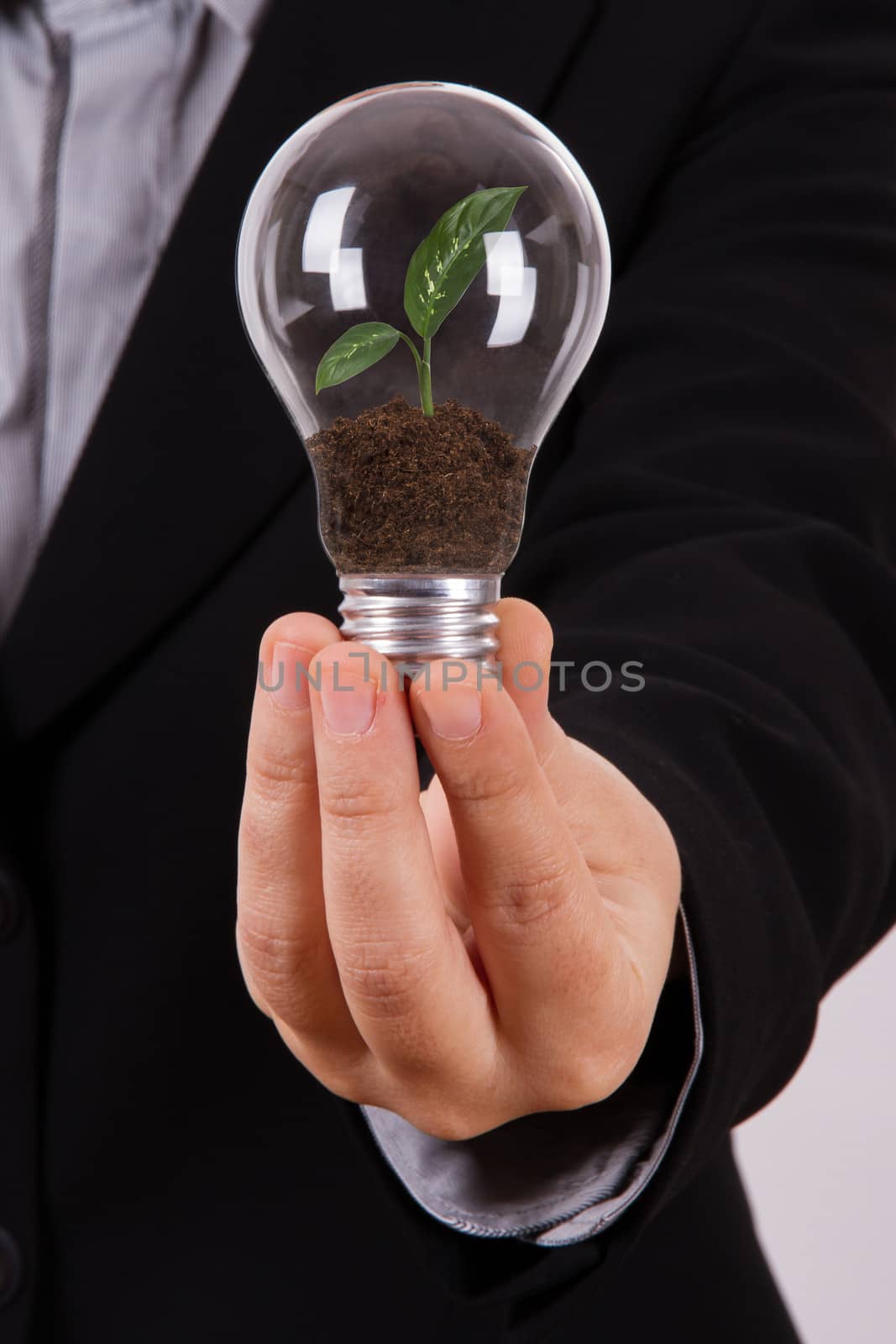 Business woman holding electric light bulb with growing green plant leaves inside, isolated on white background.