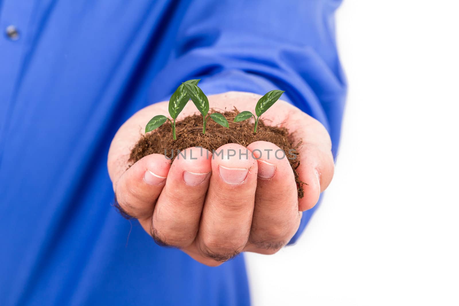 Businessman hand holding pile of soil and green plant for growing, isolated on white background.