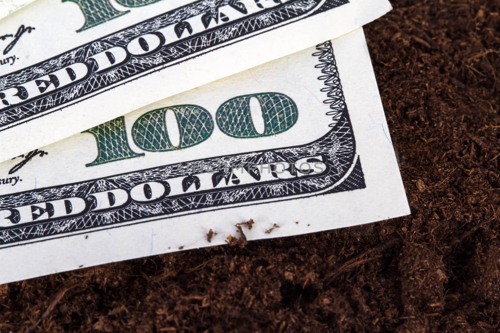One hundred dollar banknotes on soil for growing.