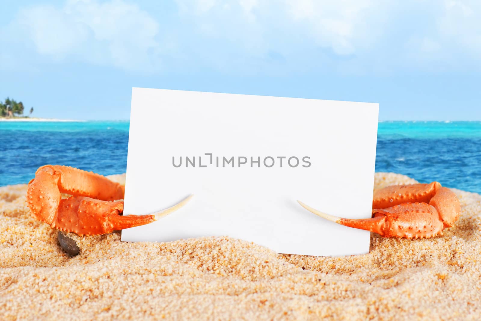 Fun vacation or holiday concept, c rab claws holding blank business card at the beach