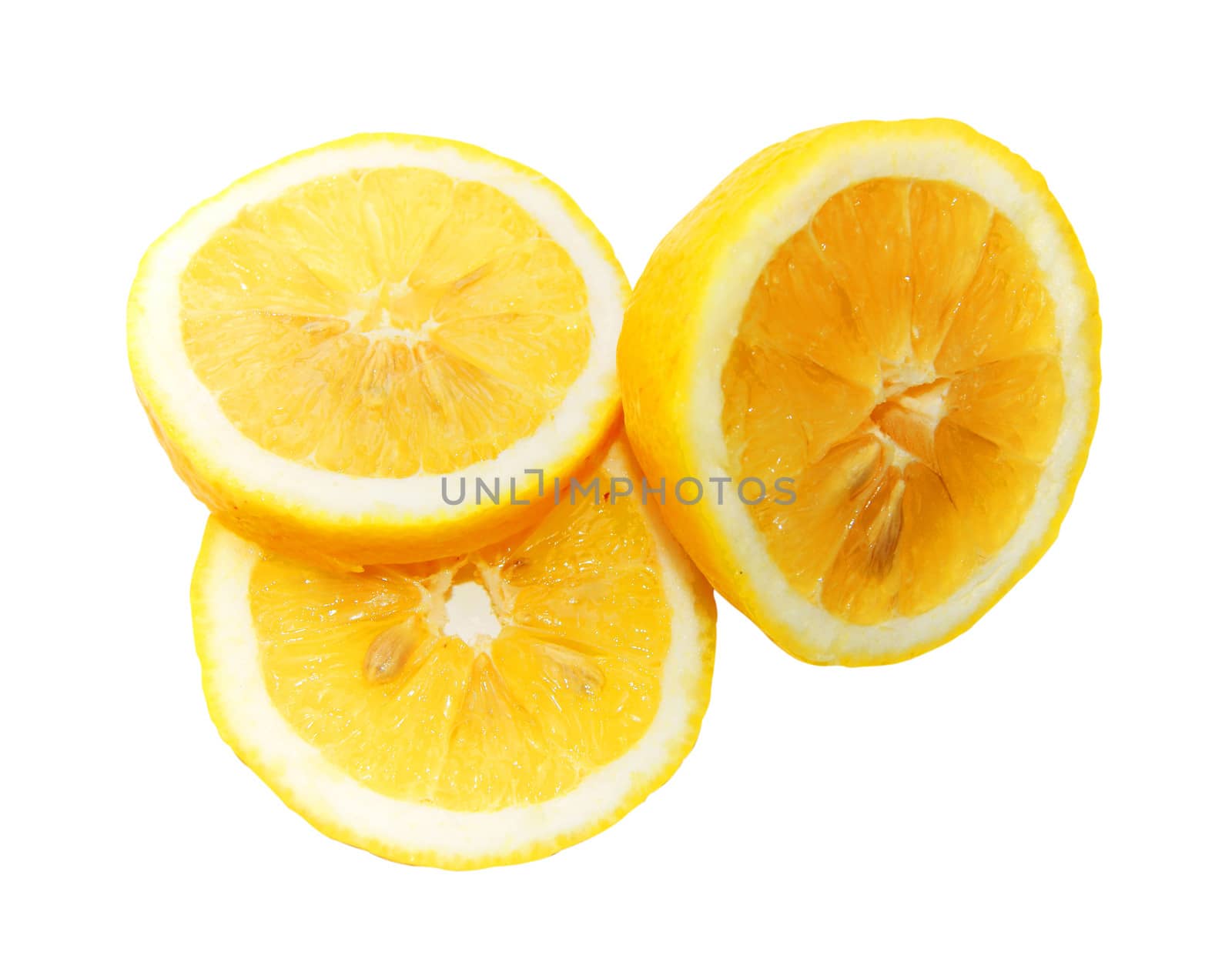 Lemon on white background by cobol1964