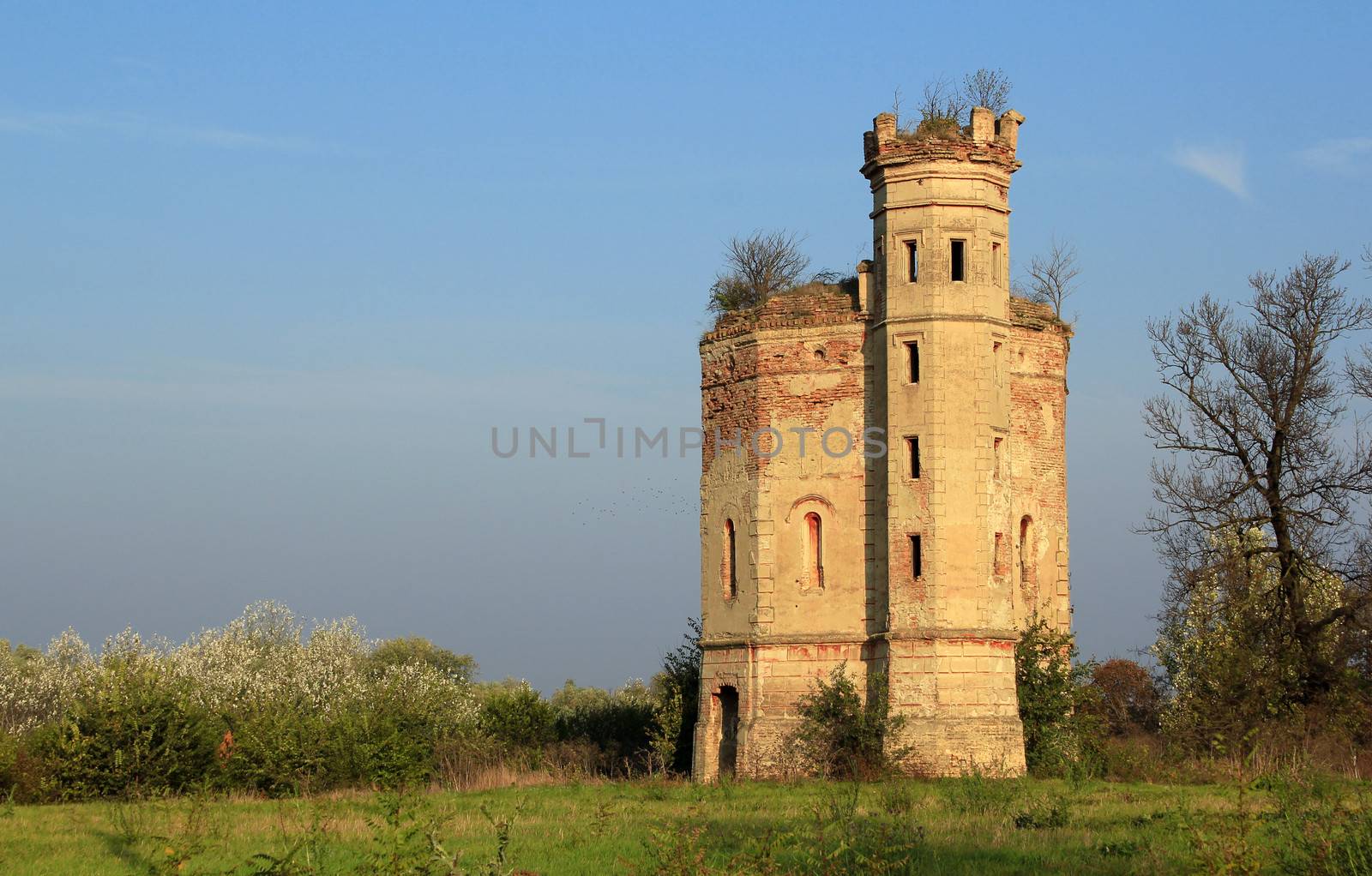 old ruined castle in Serbia